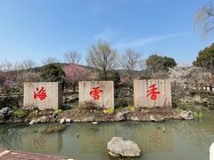 -香雪海