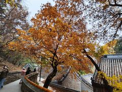 -潭柘寺景区
