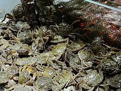 -聚盛源蒸汽海鲜火锅烤肉自助(巨川金海岸购物广场店)