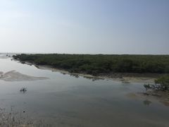 -北海金海湾红树林生态旅游区