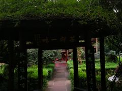 -峨眉山报国寺
