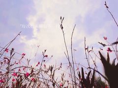 -中国天府农业博览园