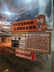 -Zoolung Zoolung动物主题公园(海信广场店)