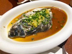 鱼头诱惑-绿茶餐厅(成都万象城店)