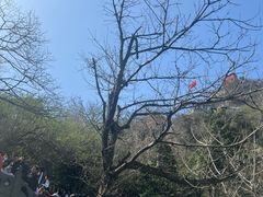 -武当山风景区