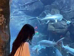 -郑州银基国际旅游度假区