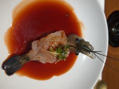 -觀芷隐轩