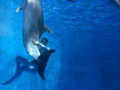 -海合安成都极地海洋公园