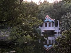 -叶家花园