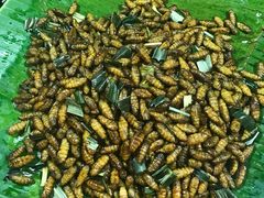 -席娜卡琳火车铁道夜市