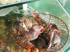 -海岸风情蒸汽海鲜自助餐厅(家宴金手勺店)