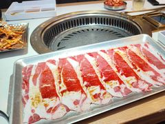 -杨记齐齐哈尔烤肉(总店)