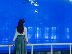-泉城欧乐堡海洋极地世界
