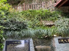 -十八棵（老龙井）御茶园(老龙井店)