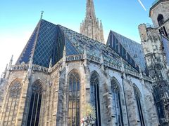 -斯蒂芬主教座堂(Stephansdom)