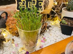 -饵块食光·云南有机手作饵块