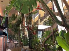 -桂满陇·海市蜃楼·黑金(国金店)