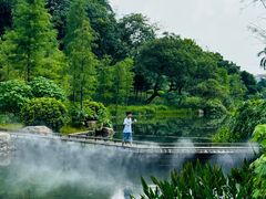 -云溪植物园