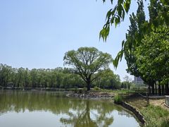 -将府公园