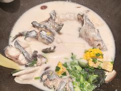 -鲜潭蒸汽石锅鱼(五道口购物中心店)