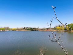 -东郊湿地公园
