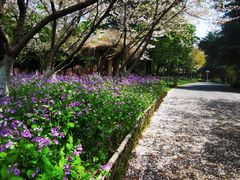 -白塘生态植物园
