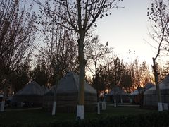 -九十九顶毡房(阜石路店)