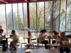 -鸡鸣汤包(红山动物园店)