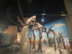 -国家自然博物馆