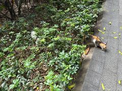 -荔湾湖公园