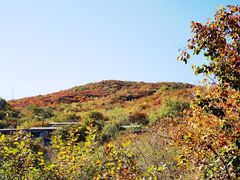 -周口店坡峰岭风景区