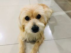 -1013 PET SHOP 宠物商店(近铁城市广场店)