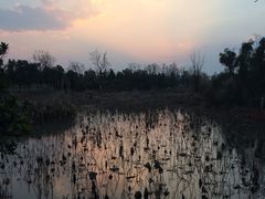 -瑶湖郊野森林公园