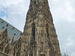-斯蒂芬主教座堂(Stephansdom)