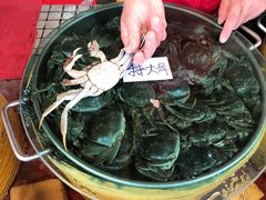 -江杨农产品批发市场