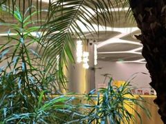 -烹然四季椰子鸡火锅(姚家园万象汇店)
