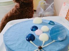 -壹点壹客·生日蛋糕(南山店)