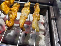 -诸锣记烤串·锦州烧烤(淘金店)