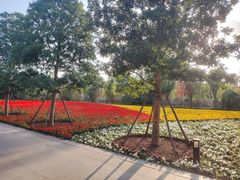 -上海市龙华烈士陵园