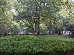 -上海交通大学医学院附属瑞金医院(总院)