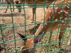 -清风小镇闯关东影视基地