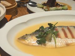 -宁波柏悦酒店·钱湖渔港