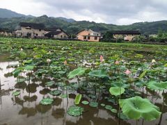 -云水谣景区