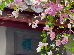 -深圳国际园林花卉博览园