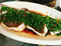 -金騰閣·经典粤菜(汾江中路店)