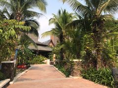 -亚马逊丛林水乐园