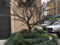-东方御宴海鲜酒楼(棕泉酒店)