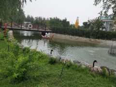-百年义利(北兴路店)