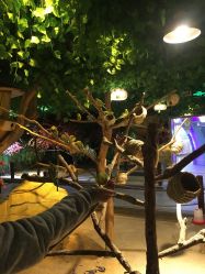 -酷嗒动物文化乐园(cutezoo西溪乐天城店)