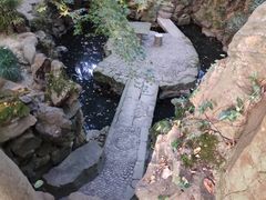 -绮园景区
